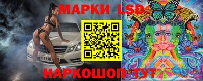 прущие грибы Бердск