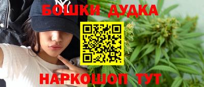 прущие грибы Бердск