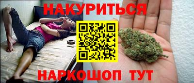 прущие грибы Бердск
